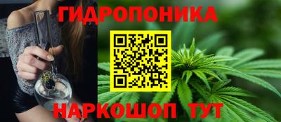 прущие крисы Пенза