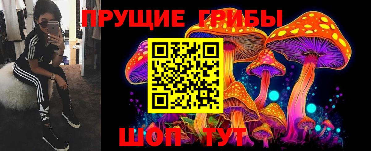Псилоцибиновые грибы GOLDEN TEACHER Ростов-на-Дону