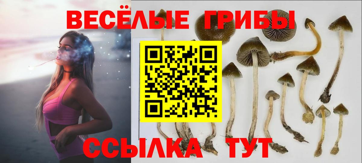 наркота  Галлюциногенные грибы GOLDEN TEACHER  Вход с VPN  Галлюциногенные грибы Cubensis  Ростов-на-Дону 